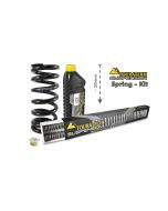 Height lowering kit, 50 mm, BMW F800GS up to 2012 replacement springs*replacement springs*